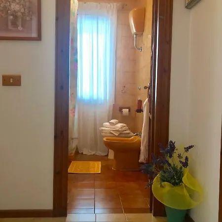 Cimabu Olbia