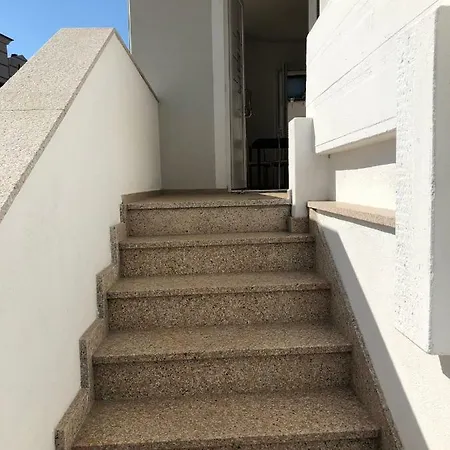 Cimabu * Olbia